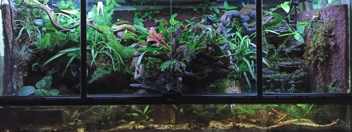 aquarium palu