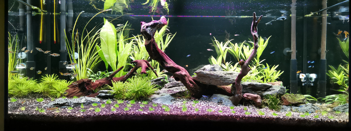 aquarium 180 L