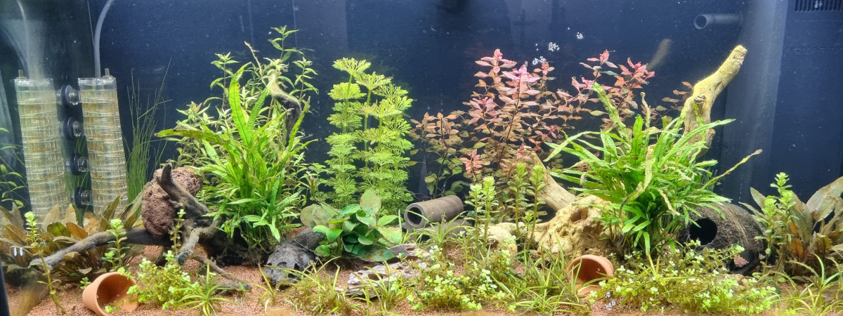 aquarium Aquarium 180L