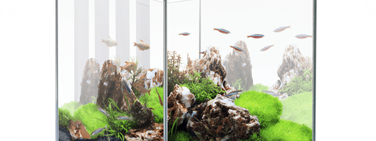 aquarium Nexus Pure 25L