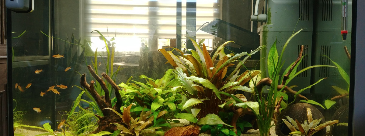 aquarium Fab