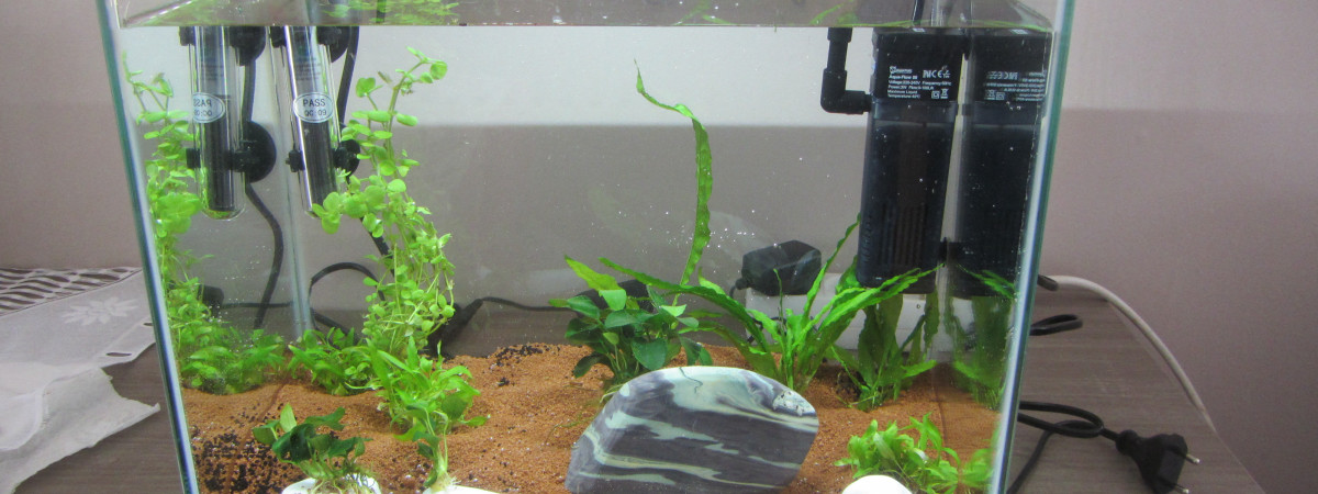 aquarium aquarium nano 25L combattant