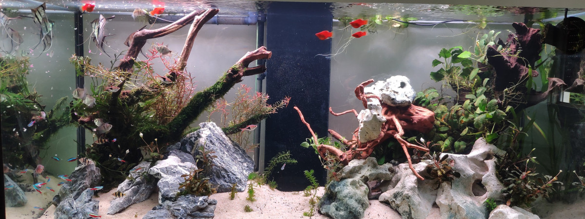 aquarium EHEIM  Incpiria 400