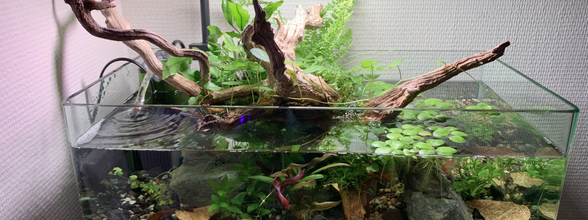 aquarium Shallow 17l