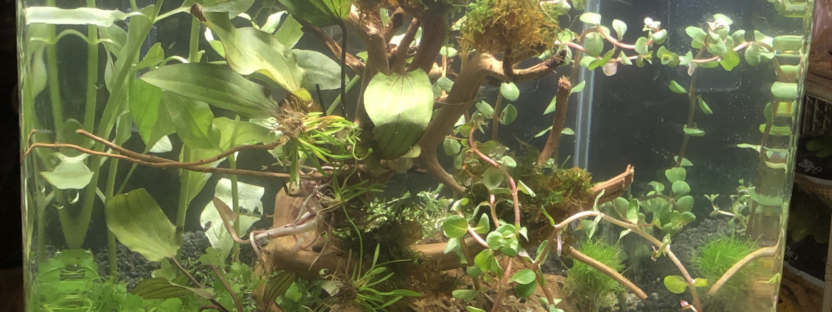 aquarium Nano 30L
