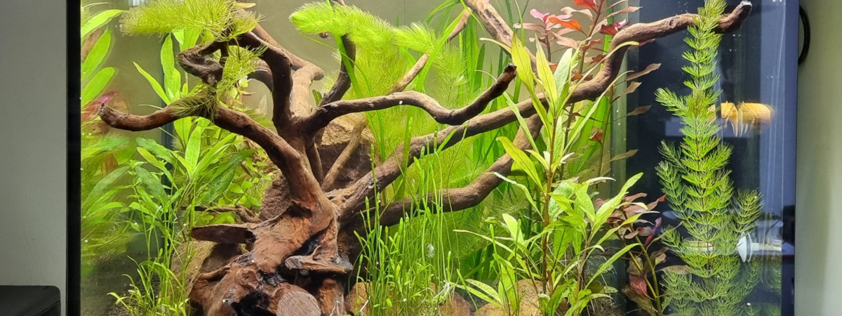 aquarium Bureau Juwel Lido 120