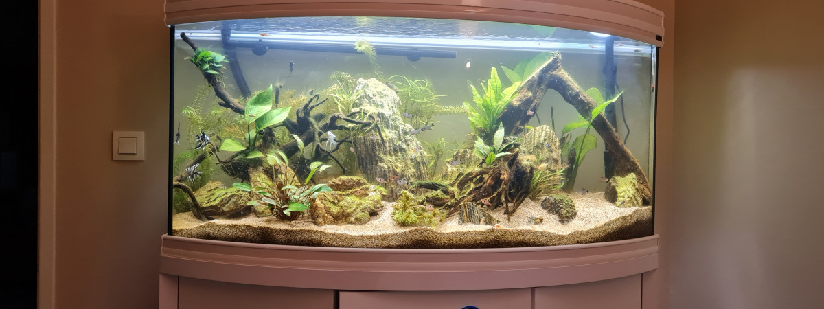 aquarium Quarium
