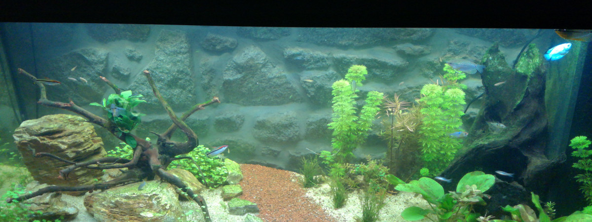 aquarium JUWEL 450