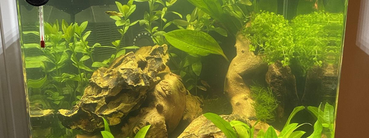 aquarium Nano Cube
