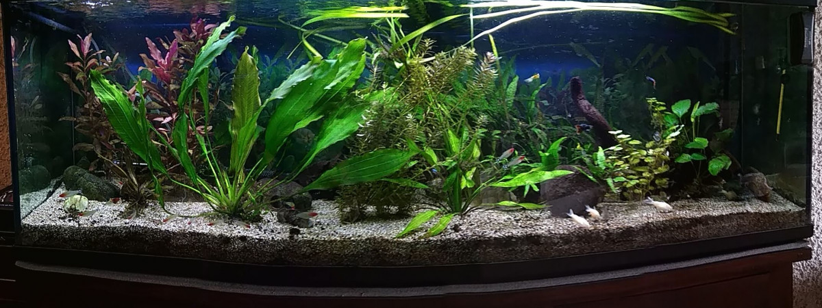 aquarium 370L brut