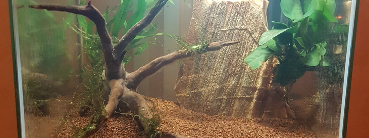 aquarium Nano