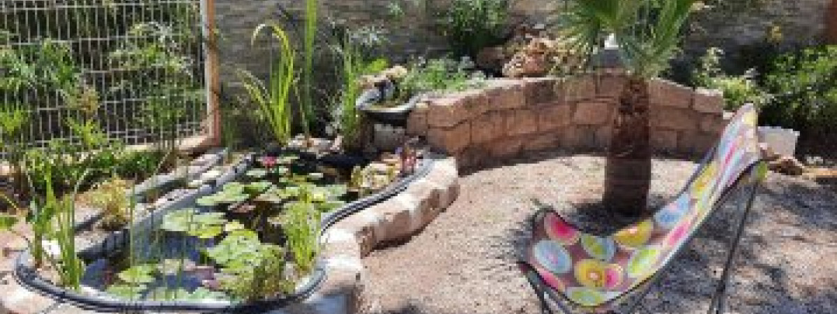 aquarium Bassin 1000 litres
