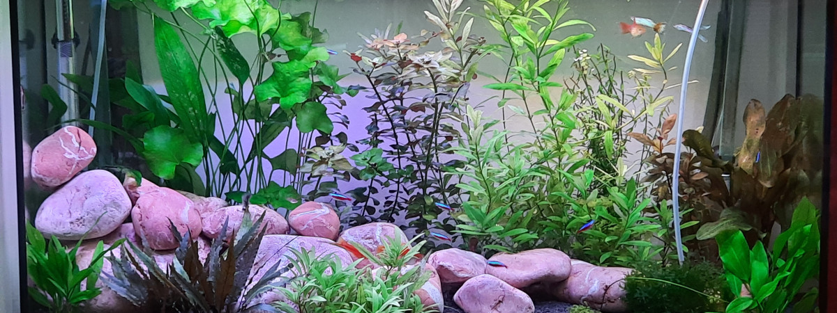 aquarium 180l juwel vision