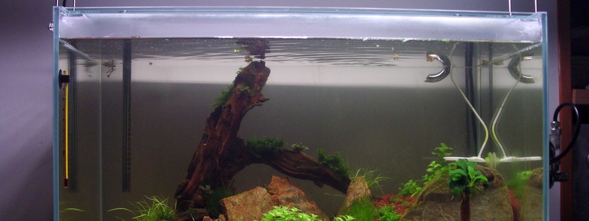 aquarium aquarium