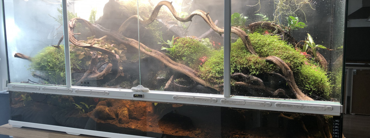 aquarium Vivarium
