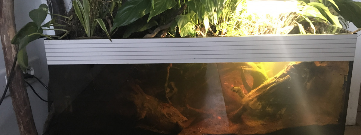 aquarium Poubellarium