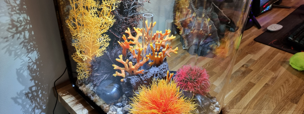 aquarium Biorb Flow 30