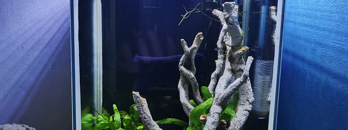 aquarium Zolux Jalaya