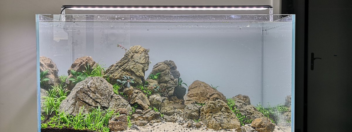 aquarium Rockymountain - 80x40x40