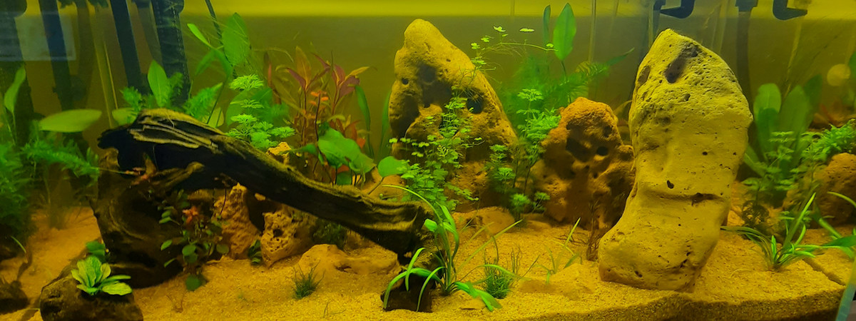aquarium 180 litres
