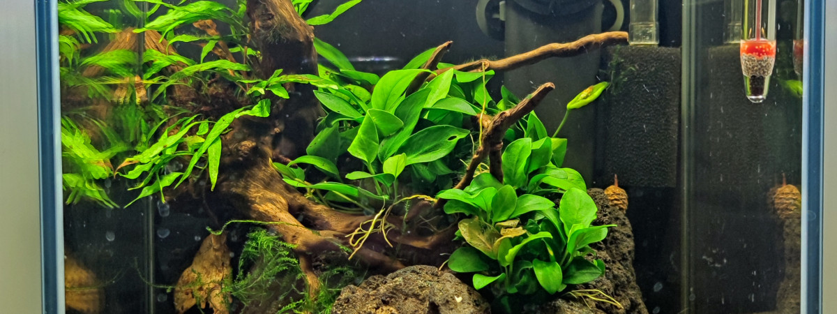 aquarium Nano Volcanic Island