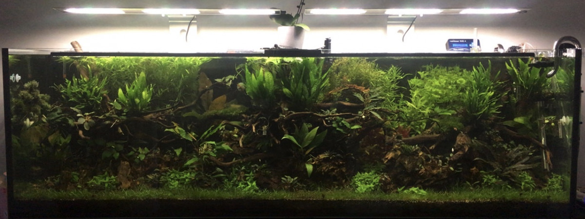 aquarium 600 litres