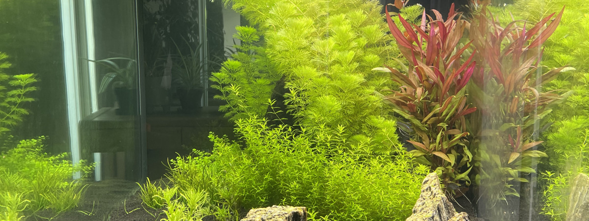 aquarium Sylvain75010