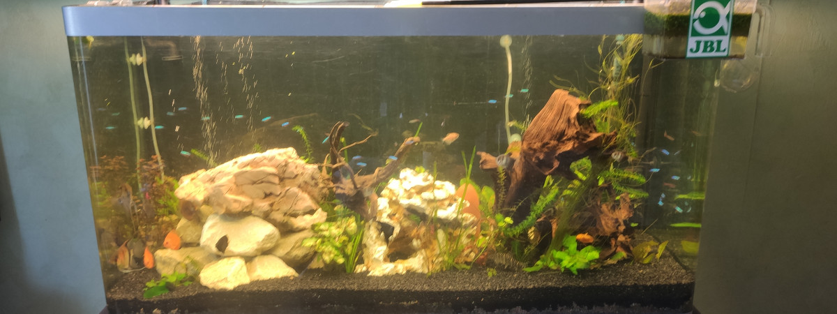 aquarium Salon