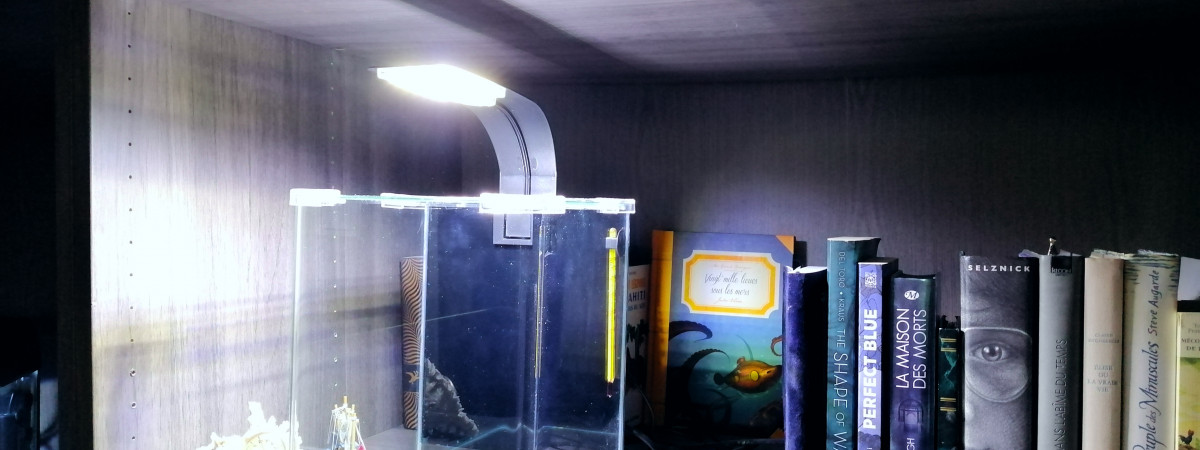 aquarium Baby Blue