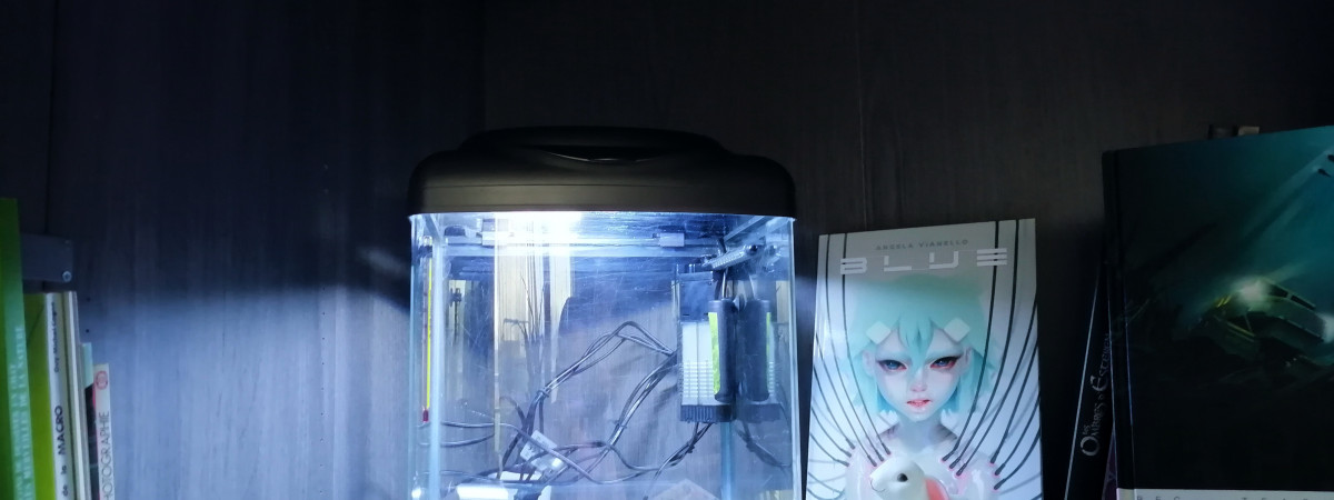 aquarium Killing  Heart Killis