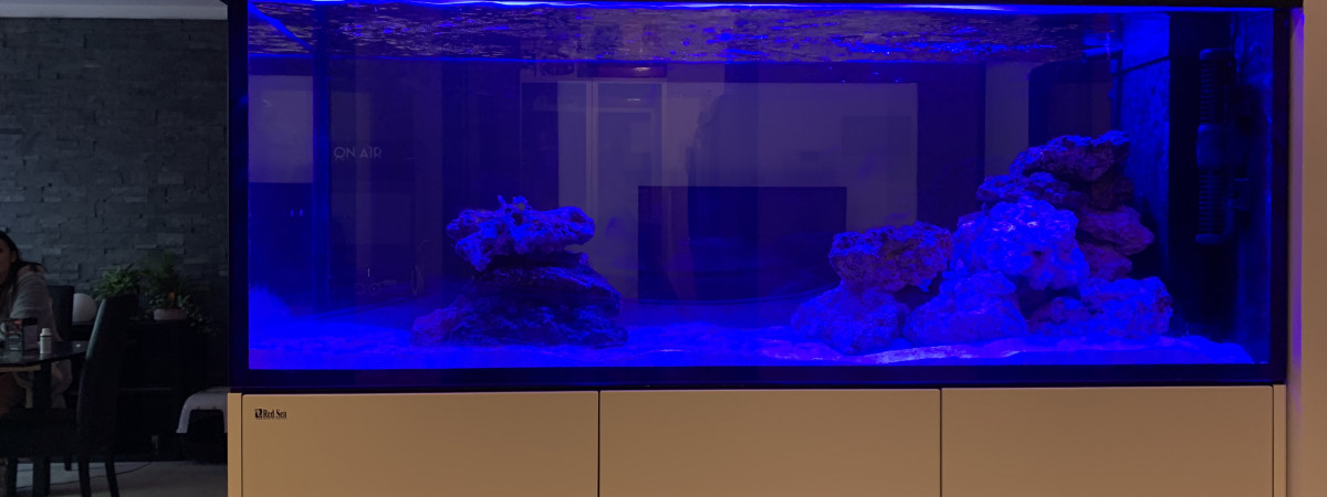 aquarium Redsea Peninsula 650