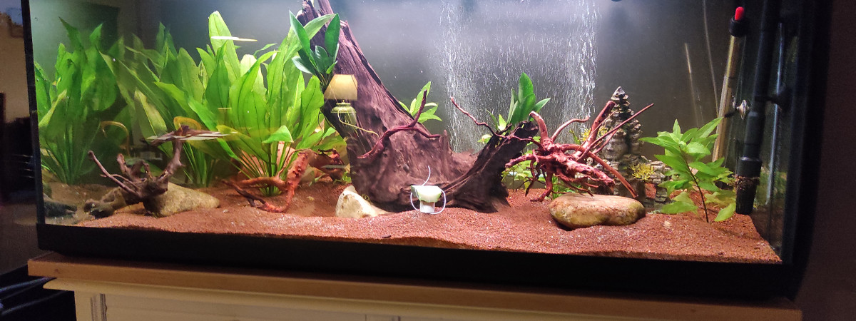 aquarium clepit46