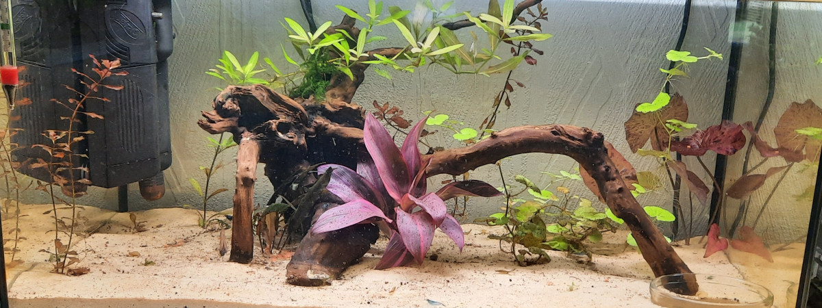 aquarium bac  50 litres   beta