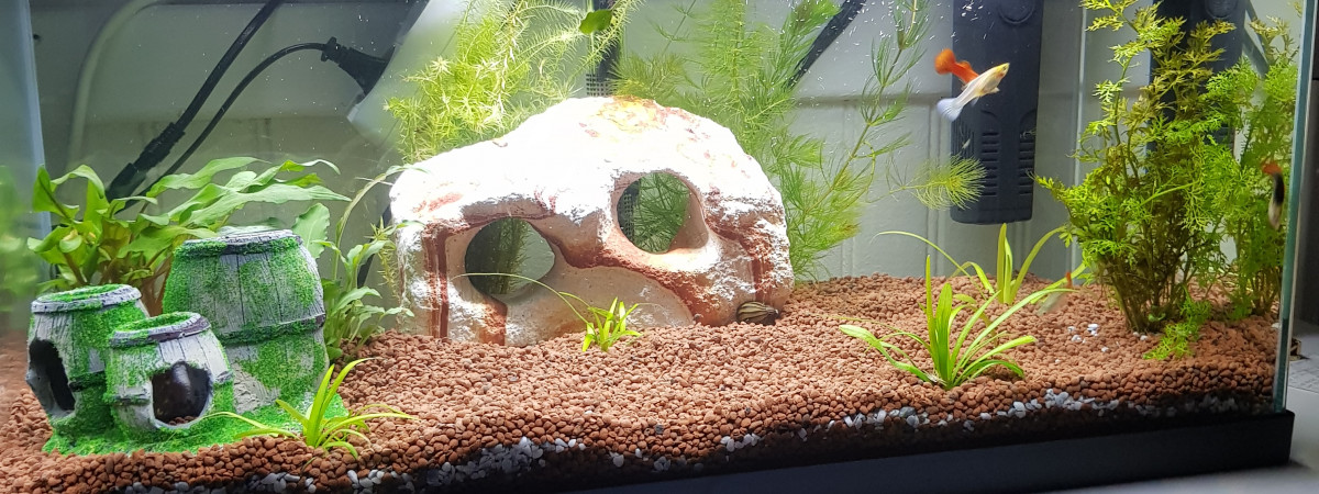 aquarium Paradis
