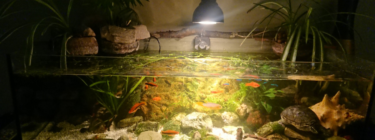 aquarium Aqualand