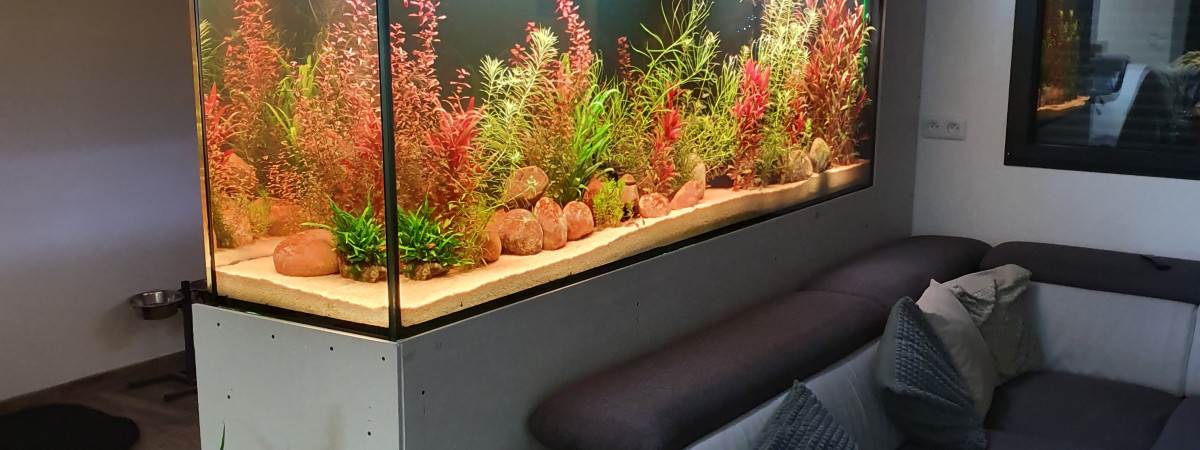 aquarium Mur