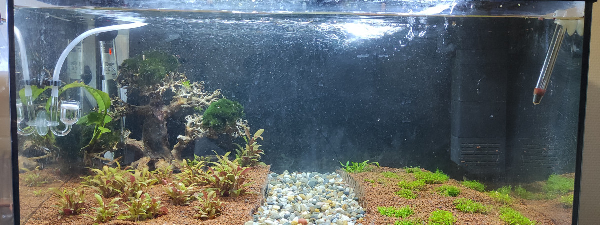 aquarium 60l