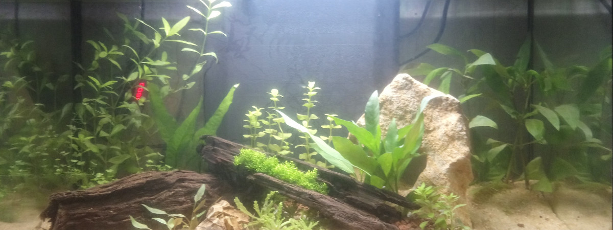 aquarium Aquarium 57l