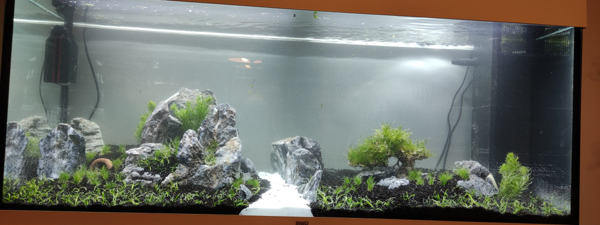 aquarium Salon