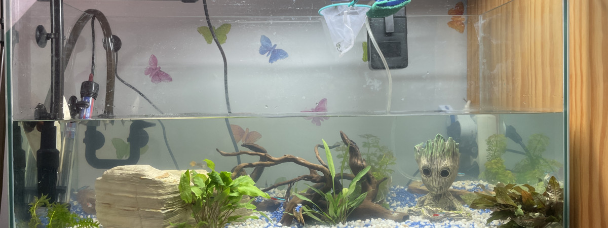 aquarium Aquarium 100L