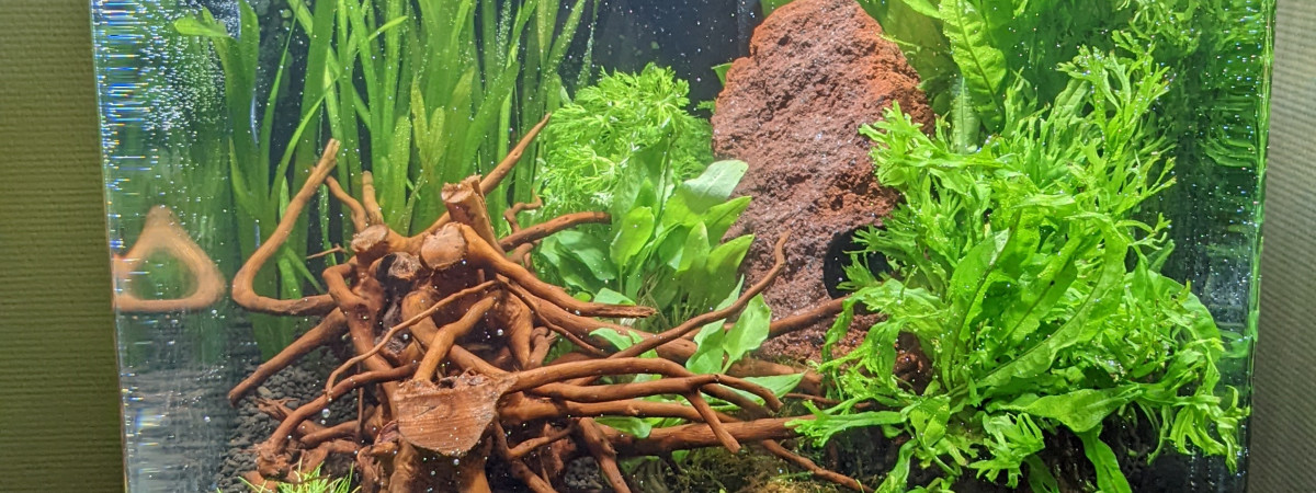 aquarium Nano