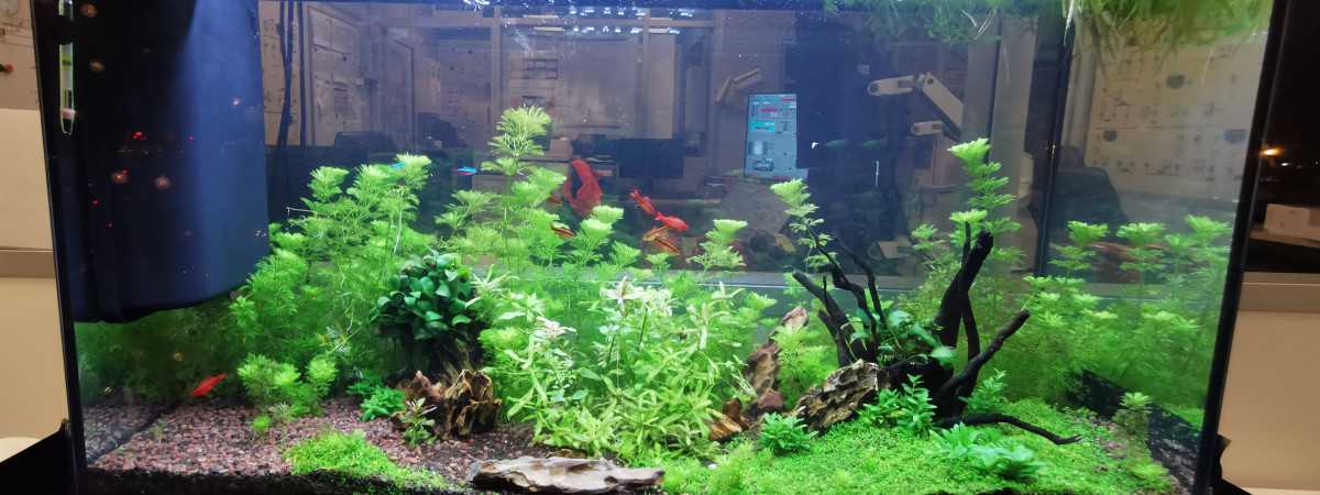 aquarium Travail