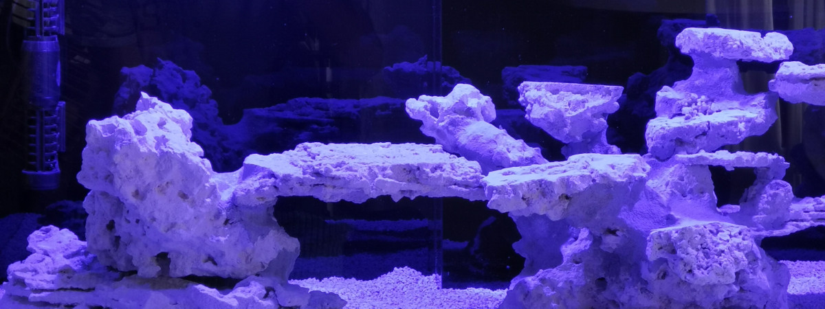 aquarium Red sea reffer 350 v3