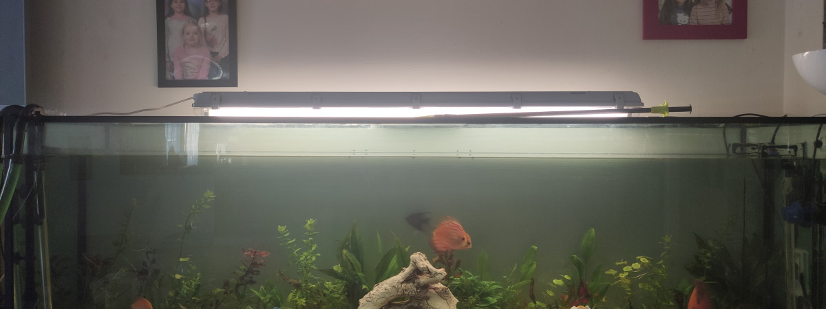 aquarium Salon