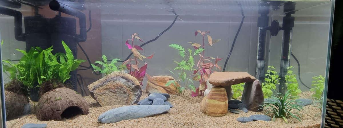 aquarium 1er