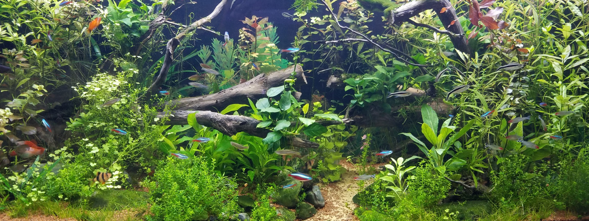 aquarium 360 l