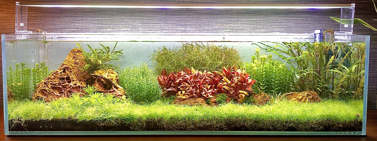 aquarium 17 long