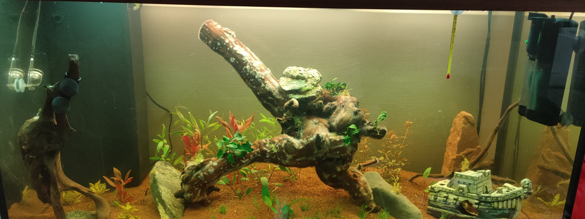 aquarium Juwel Rio 300