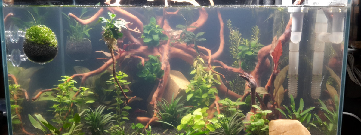 aquarium superfish scaper 90