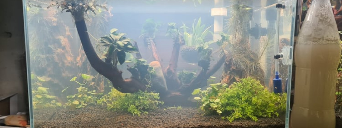 aquarium superfish scaper 45